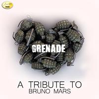 Ameritz - Tribute - Grenade (A Tribute to Bruno Mars)