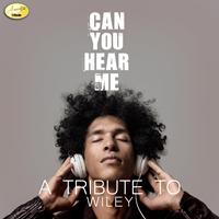 Ameritz - Tribute - Can You Hear Me (Ayayaya) [A Tribute to Wiley]