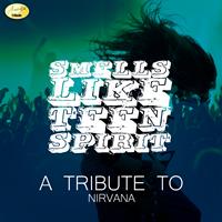 Ameritz - Tribute - Smells Like Teen Spirit (A Tribute to Nirvana)