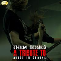 Ameritz - Tribute - Them Bones (In the Style of Alice in Chains)