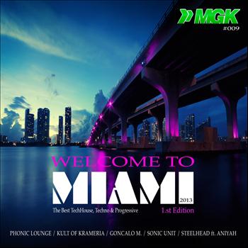 Various Artists - Welcome To Miami 2013