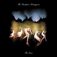 The Amorphous Androgynous - The Isness