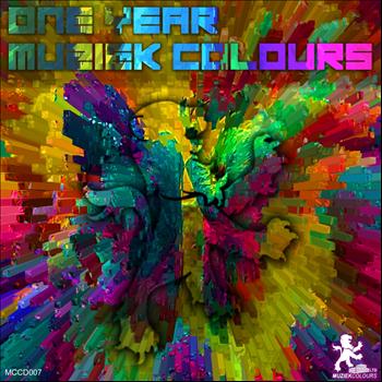 Various Artists - One Year Muziek Colours