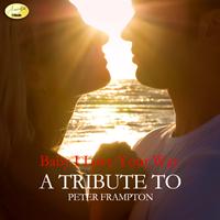 Ameritz - Tribute - Baby I Love Your Way (A Tribute to Peter Frampton)