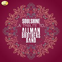 Ameritz - Tribute - Soulshine (A Tribute to the Allman Brothers)