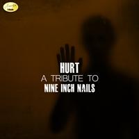 Ameritz - Tribute - Hurt (A Tribute to Nine Inch Nails)