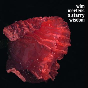 Wim Mertens - A Starry Wisdom