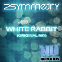 2symmetry - White Rabbit