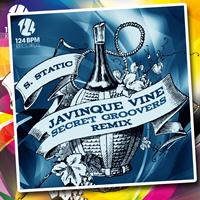 S. Static - Javinque Vine