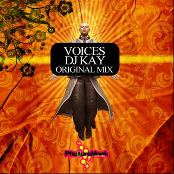 DJ Kay - Voices