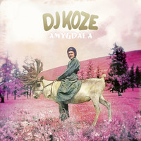 DJ Koze - Amygdala