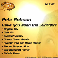 Pete Robson - Have You Seen The Sunlight ?