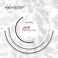 JayB - Animus / Heavilectro