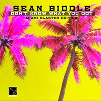 Sean Biddle - Don't Know What You Got