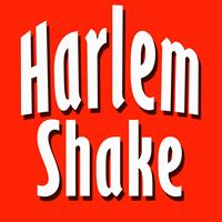 DJ Adam - Harlem Shake