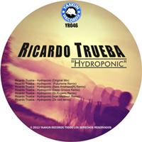 Ricardo Trueba - Hydroponic