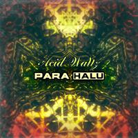 Para Halu - Acid Waltz