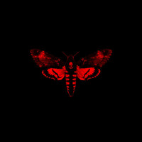 Lil Wayne - I Am Not A Human Being II (Deluxe)