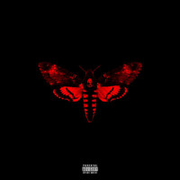 Lil Wayne - I Am Not A Human Being II (Deluxe [Explicit])
