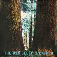 The Big Sleep - Split 7"