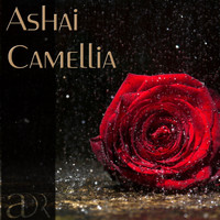Ashai - Camellia
