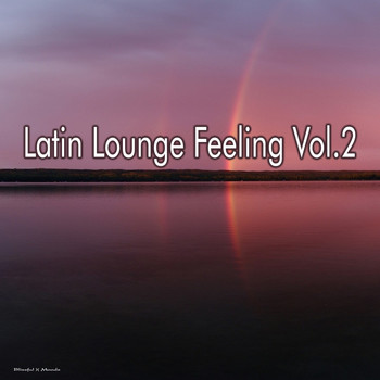 Various Artists - Latin Lounge Feelings, Vol. 2