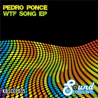 Pedro Ponce - WTF Song