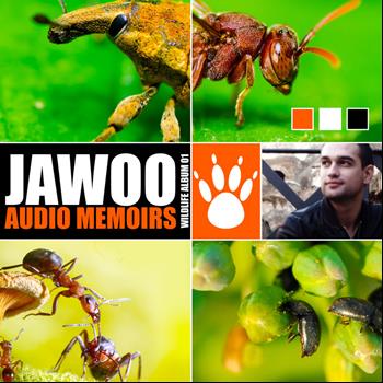 Jawoo - Audio Memoirs