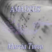 Amadeus - Mozart: Piano Sonata No. 11: Alla Turca
