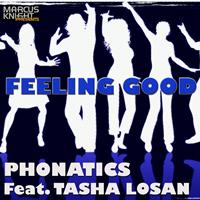 Phonatics - Feeling Good (Wmc 2013 Mixes)