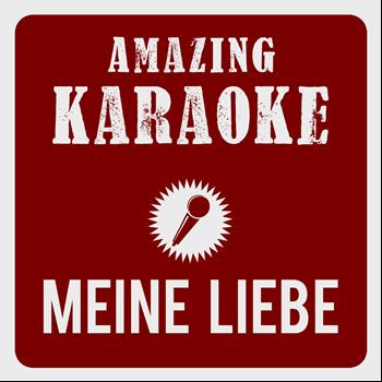 Amazing Karaoke - Meine Liebe, meine Stadt, mein Verein (Karaoke Version) (Originally Performed By Domstürmer)