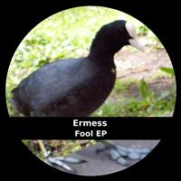 Ermess - Fool EP