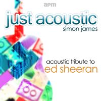 Simon James - Acoustic Tribute to Ed Sheeran (Just Accoustic)