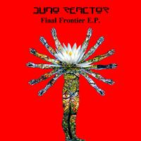 Juno Reactor - Final Frontier