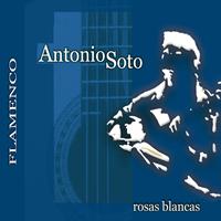 Antonio Soto - Rosas Blancas