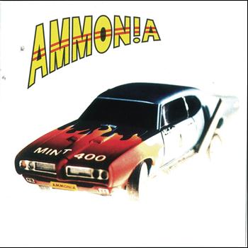 Ammonia - Mint 400