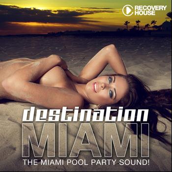Various Artists - Destination Miami 2013 (The Miami Pool Party Sound)
