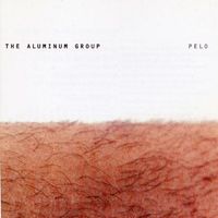 The Aluminum Group - Pelo