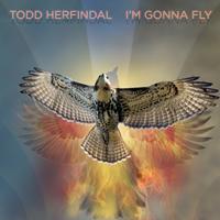 Todd Herfindal - I'm Gonna Fly