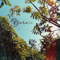 Yarn - Yarnia