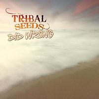Tribal Seeds - Did Wrong