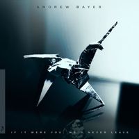 Andrew Bayer - If It Were You, We'd Never Leave