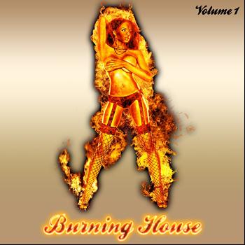 Various Artists - Burning House, Vol. 1