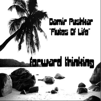 Damir Pushkar - Flutes of Life