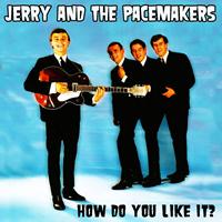Gerry And The Pacemakers - Gerry and the Pacemakers: How Do You Like It?