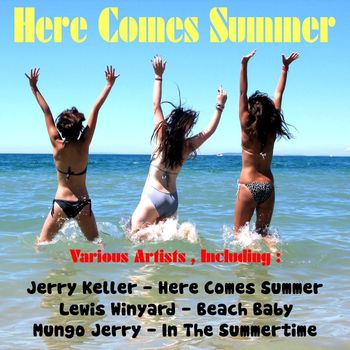 Various Artists - Here Comes Summer