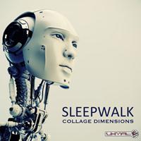 Sleepwalk - Collage Dimensions