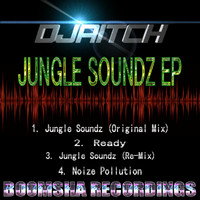 DJ Aitch - Jungle Soundz