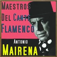 Antonio Mairena - Maestros del Cante Flamenco