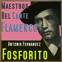 Fosforito - Maestros del Cante Flamenco